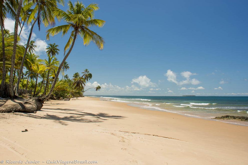 Imagem da praia paradisíaca de Barra Grande.